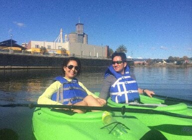 Valle de Napa: alquiler de kayaks en el río Napa