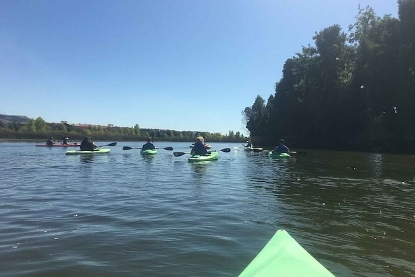 Picture 4 for Activity Napa Valley: Napa River Kayak Rental