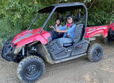 Carabalí Rainforest Park: 2-Hour UTV Adventure Tour