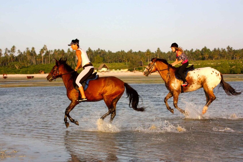 Picture 11 for Activity Cooking Class Tour, Prison Island, Horseback Riding Tour