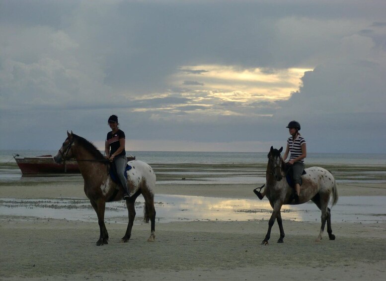 Picture 10 for Activity Cooking Class Tour, Prison Island, Horseback Riding Tour