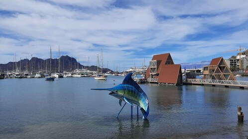 São Vicente: Mercados, Playas y Recorrido por el Parque Natural