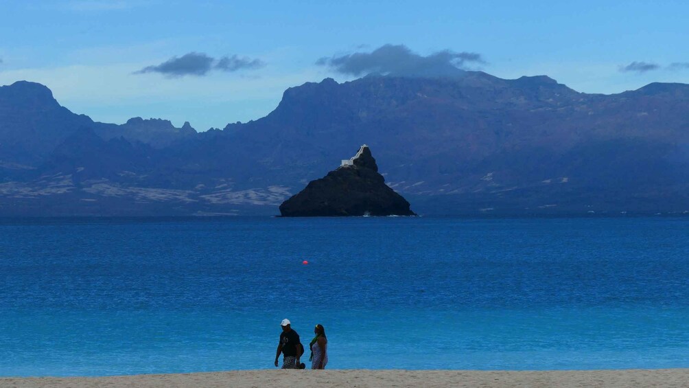 Picture 3 for Activity São Vicente: Markets, Beaches and Natural Park Tour