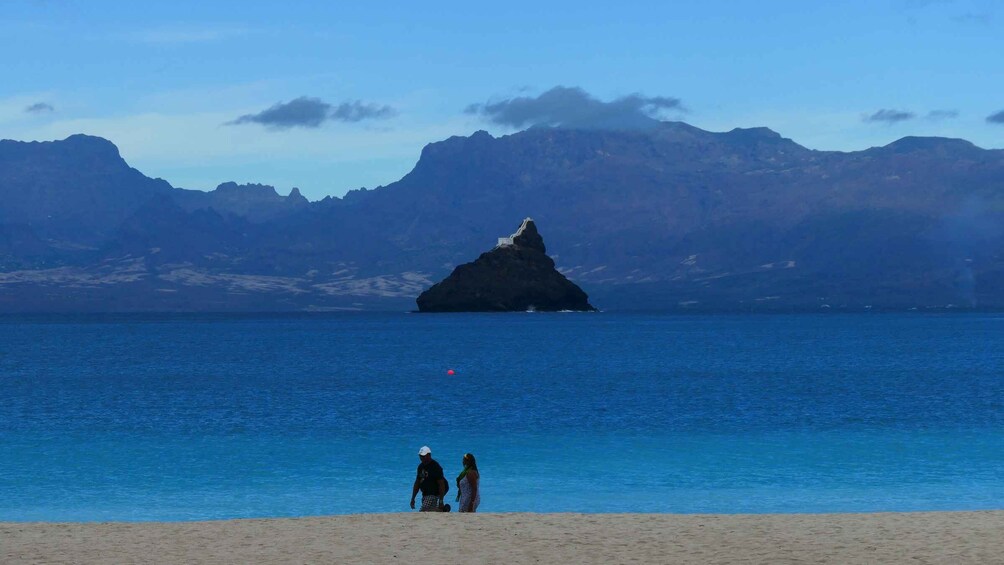 Picture 3 for Activity São Vicente: Markets, Beaches and Natural Park Tour