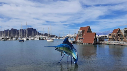 São Vicente: Märkte, Strände und Naturpark-Tour