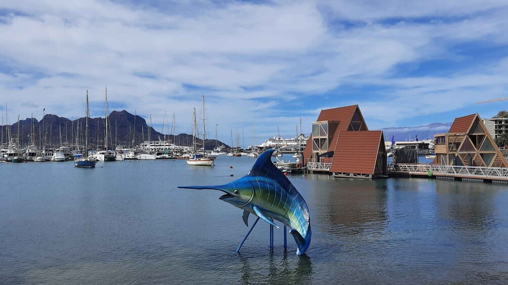 São Vicente: Markets, Beaches and Natural Park Tour