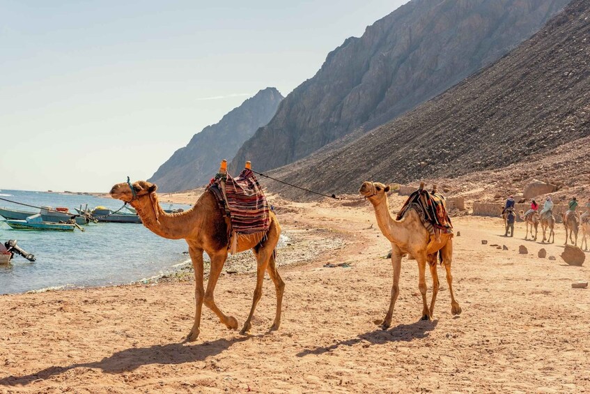 Picture 32 for Activity Sharm: 2-Days Dahab, Canyon, Safari, Snorkel w Camp Stay