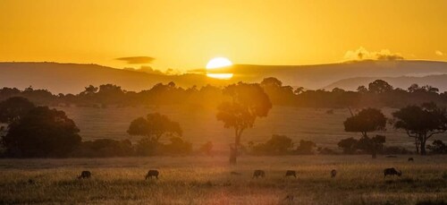 3 dagers gruppetur til maasai mara i 4x4 landcruiser uten parkavgifter