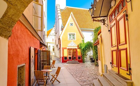 Tales of Tallinn: 4-hour Combo Bus & Walking Tour