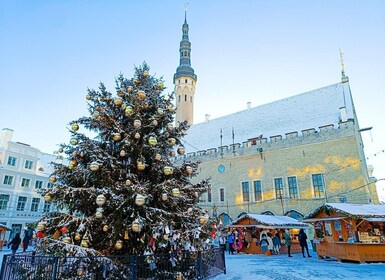 Tales of Tallinn: 4-hour Combo Bus & Walking Tour