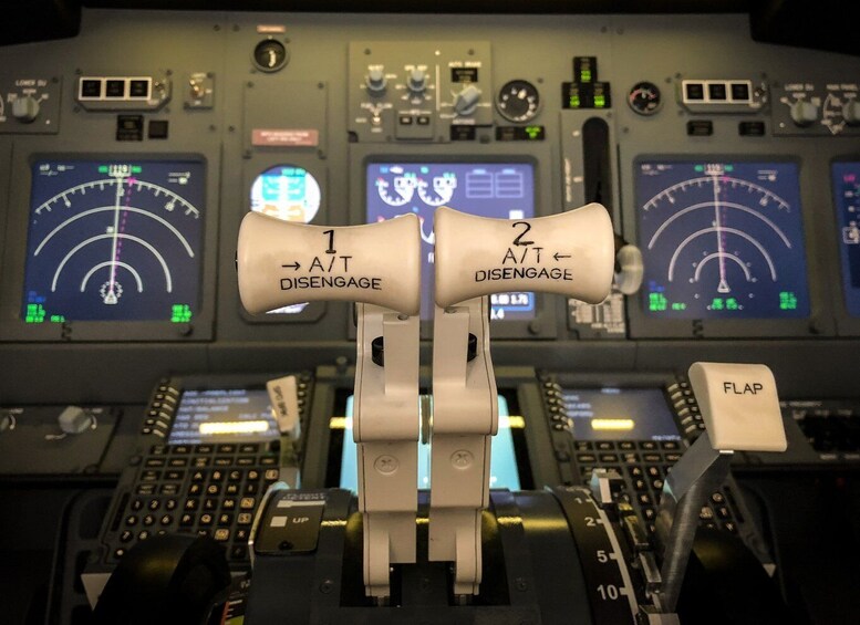 Picture 4 for Activity Boeing 737-800NG Professional flight simulator - 50 minutes