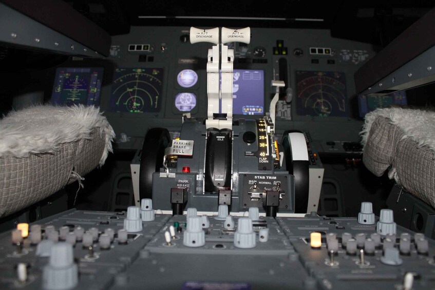 Picture 2 for Activity Boeing 737-800NG Professional flight simulator - 50 minutes