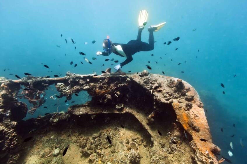 Picture 3 for Activity Coron Private Tour D: Reef and Wrecks