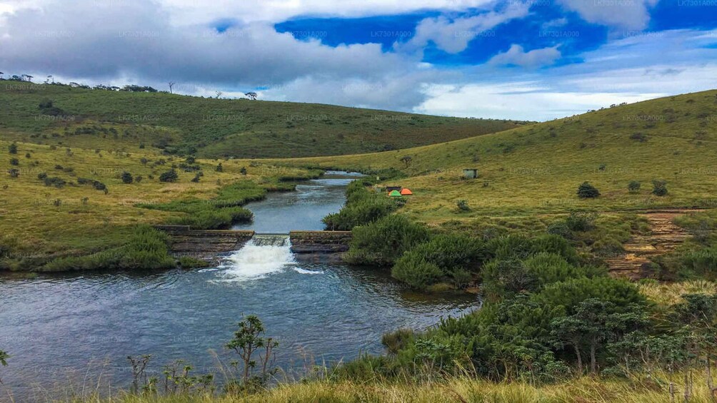 Picture 13 for Activity Visit Horton plains and Nuwara Eliya from Kandy