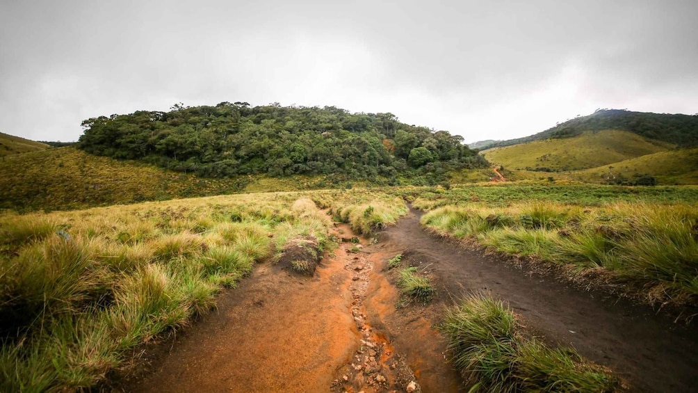 Picture 11 for Activity Visit Horton plains and Nuwara Eliya from Kandy