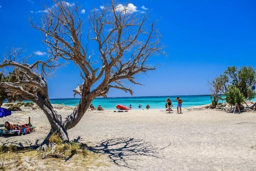 Private Tour to Elafonissi Beach from Heraklion 