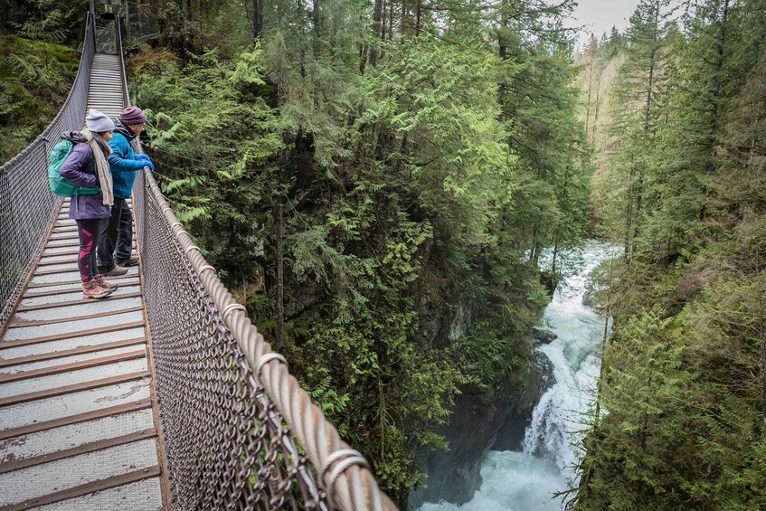 Picture 1 for Activity Vancouver: Lynn Valley Suspension Bridge & Nature Walk Tour