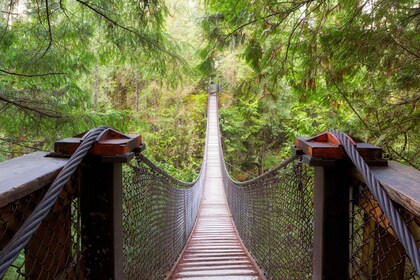 Vancouver: Lynn Valley Suspension Bridge & Nature Walk Tour