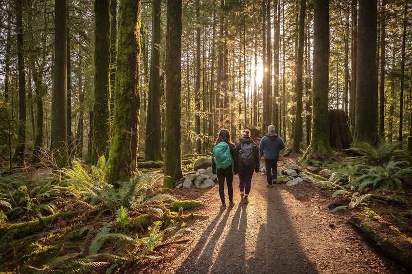 Picture 3 for Activity Vancouver: Lynn Valley Suspension Bridge & Nature Walk Tour