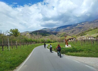 Valdobbiadene Hills: E-bike Tour with Food&Wine Tasting