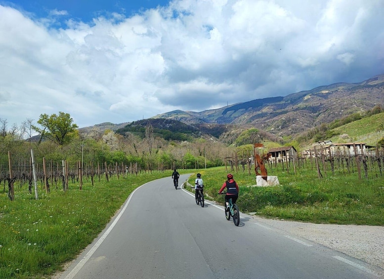 Valdobbiadene Hills: E-bike Tour with Food&Wine Tasting