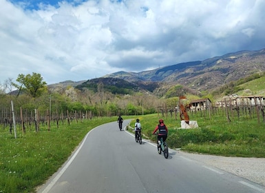 Valdobbiadene Hills: E-bike Tour with Food&Wine Tasting