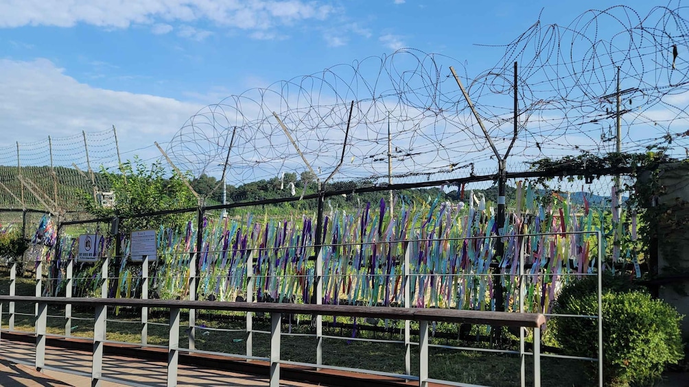 Picture 11 for Activity Seoul: DMZ, 3rd Tunnel and Optional Suspension Bridge Tour
