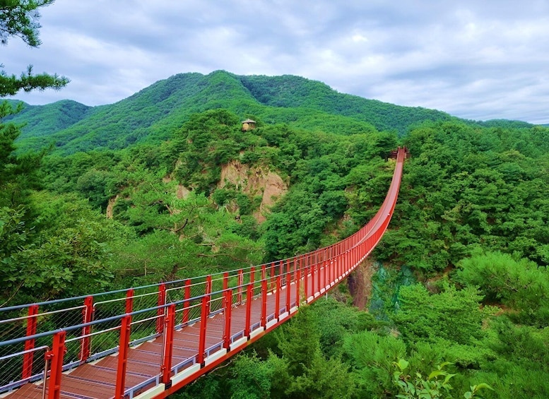 Seoul: DMZ, 3rd Tunnel and Optional Suspension Bridge Tour