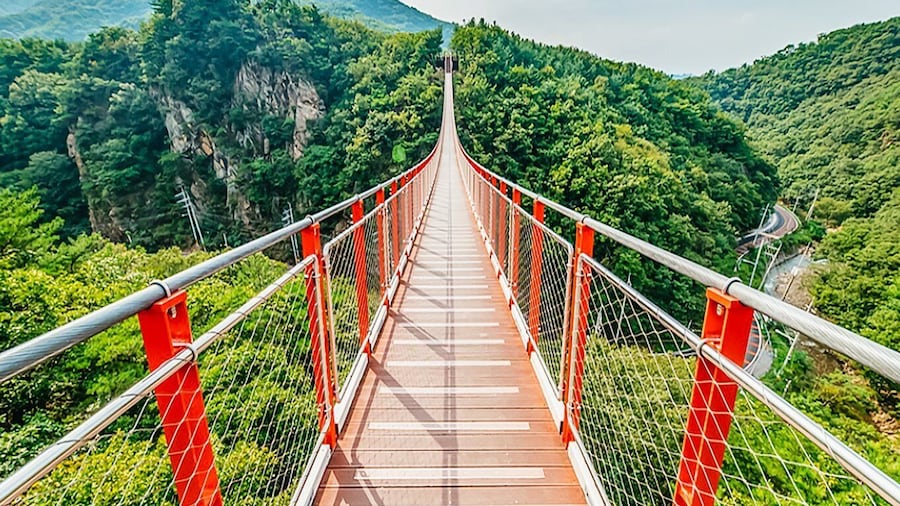 Picture 10 for Activity Seoul: DMZ, 3rd Tunnel and Optional Suspension Bridge Tour
