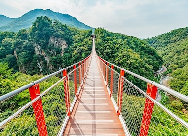 Seoul: DMZ, 3rd Tunnel and Optional Suspension Bridge Tour