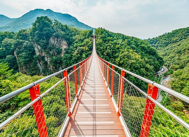 Picture 10 for Activity Seoul: DMZ, 3rd Tunnel and Optional Suspension Bridge Tour