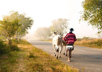 Tour durch die Dörfer von Varanasi (geführte Tour mit dem Auto)