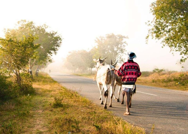 Tour of the Villages of Varanasi (Guided Tour by Car)