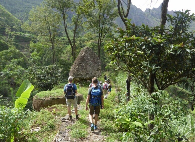 Paúl hike, the green garden