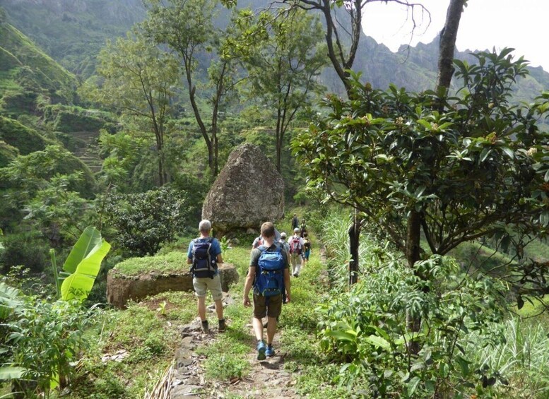 Paúl hike, the green garden