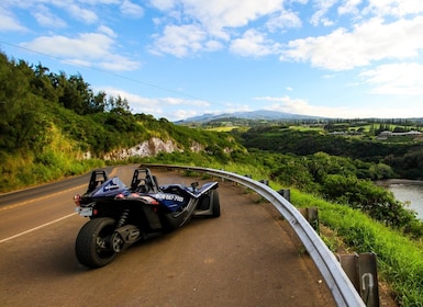 Maui: Aloha MotorSports Catapult North Coast Tour