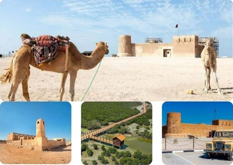 Private Tour in Northern Qatar