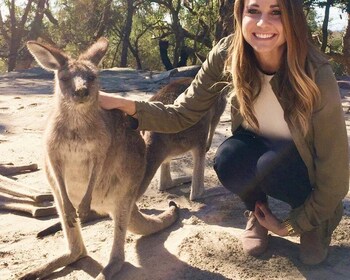 From Haymarket: Hunter Valley Wine and Wildlife Day Trip