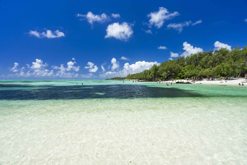 Picture 2 for Activity Ile aux Cerfs Speedboat Trip & Transport: Private or Shared