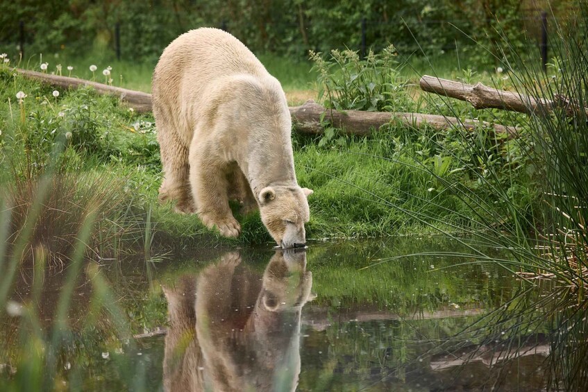 Leewarden: AquaZoo Entry Ticket