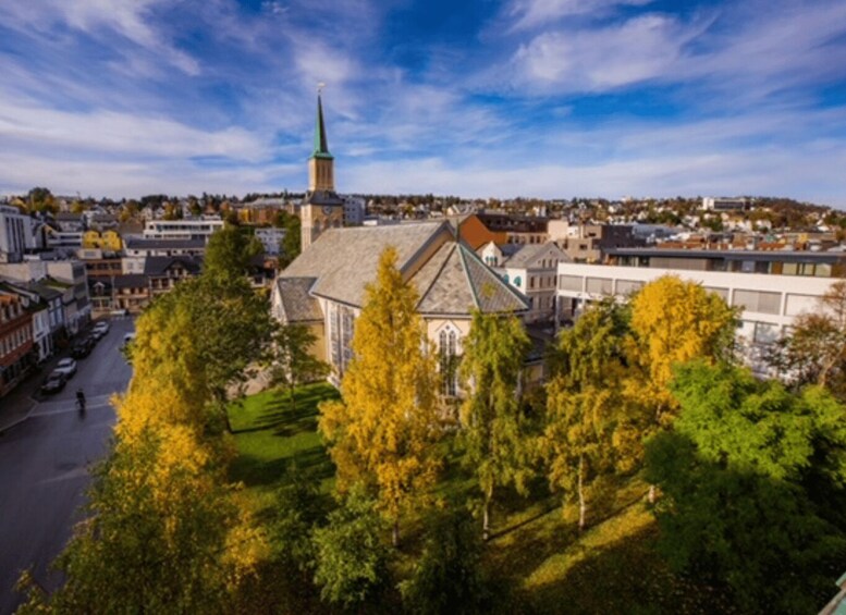 Picture 1 for Activity Tromsø: Midnight Concert Ticket at the Tromsø Cathedral