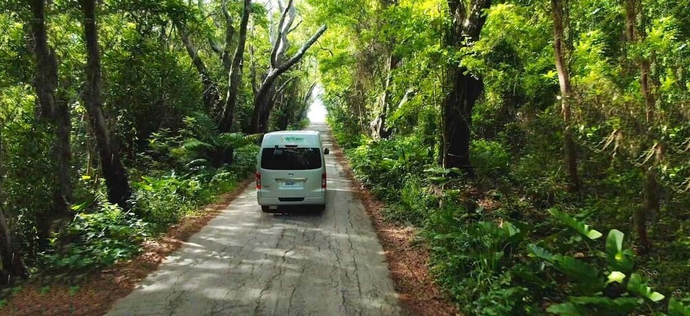 Picture 1 for Activity 5 Hours St. Nicholas Abbey and Bajan Tour in Barbados