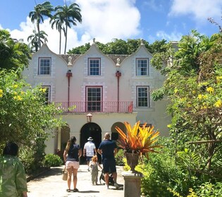 5 uur St. Nicholas Abbey en Bajan Tour op Barbados