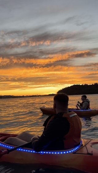 Picture 4 for Activity Sydney: Sunset Kayak Tour on Sydney Harbour