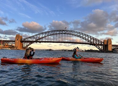 Sydney Tur Kayak saat matahari terbenam di Sydney Harbour