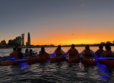 Sidney Excursión en Kayak al Atardecer en el Puerto de Sídney