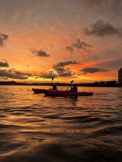 Picture 3 for Activity Sydney: Sunset Kayak Tour on Sydney Harbour