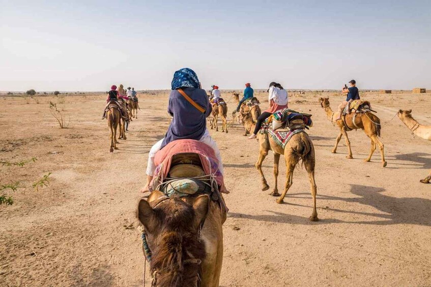 Picture 3 for Activity Jaisalmer Sam: Sunset Camel Safari & Cultural Program