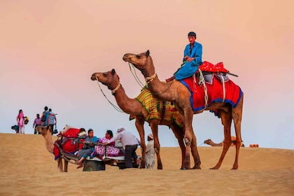 Jaisalmer Sam: Sunset Camel Safari & Cultural Program