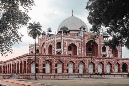 Visita guiada nocturna a Nueva Delhi con comida callejera